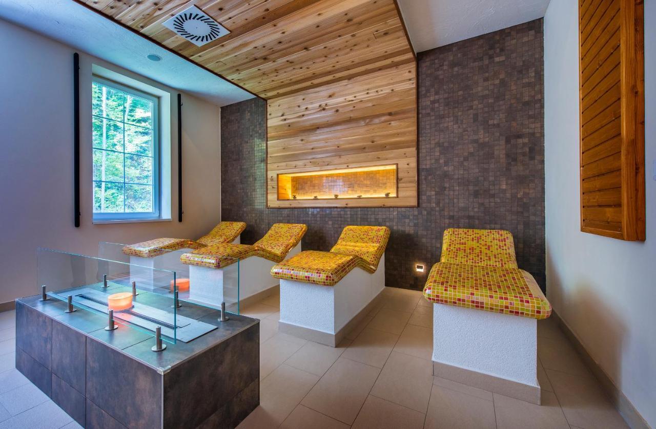 Wellness Penzion Smerdzonka - Kupele Pieniny Červený Kláštor エクステリア 写真