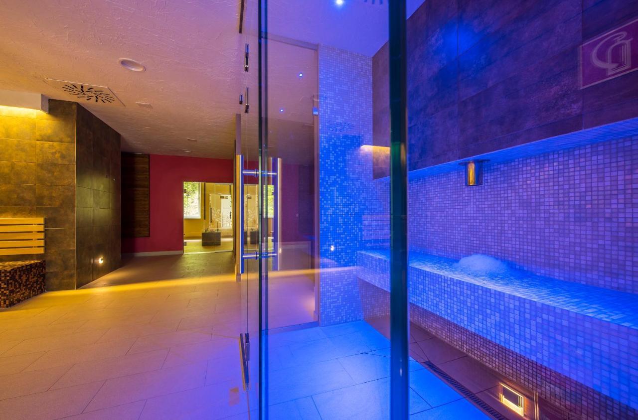 Wellness Penzion Smerdzonka - Kupele Pieniny Červený Kláštor エクステリア 写真